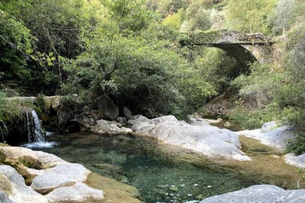 Iconic Italian Townhouse W Rooftop Terrace & Mountain View, Pigna Eksteriør bilde