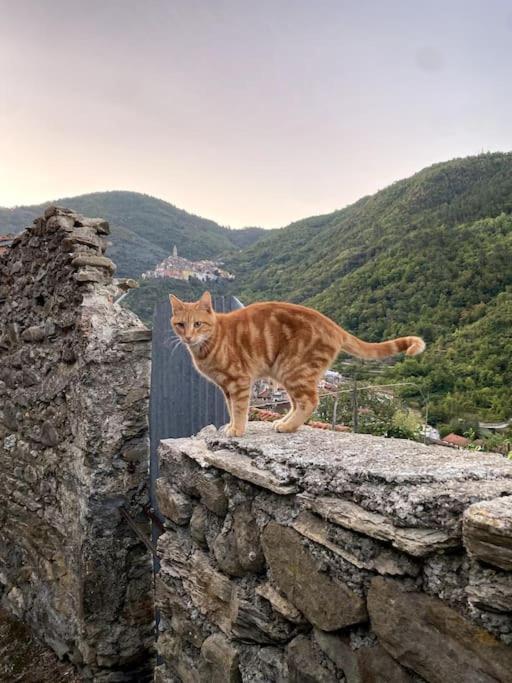 Iconic Italian Townhouse W Rooftop Terrace & Mountain View, Pigna Eksteriør bilde