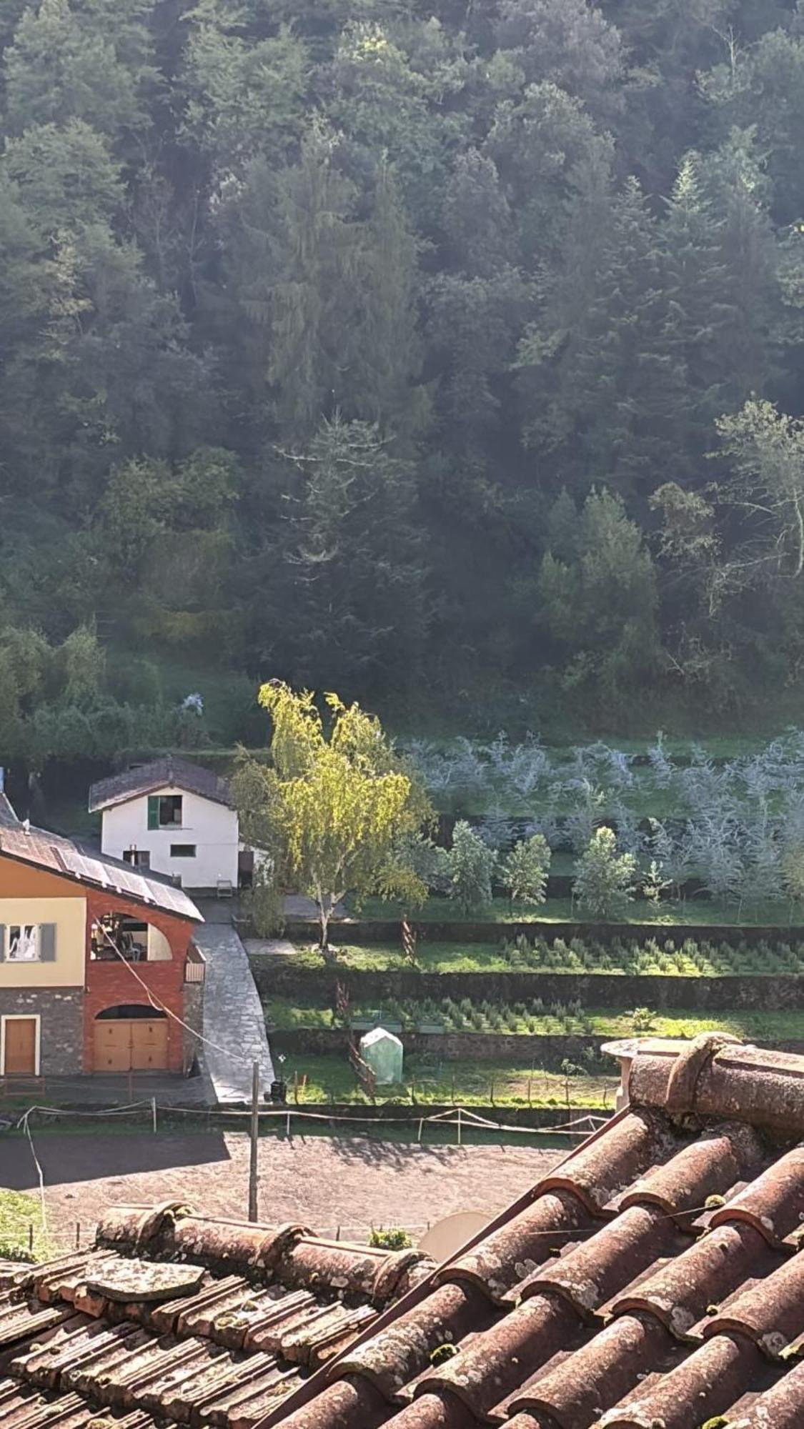 Iconic Italian Townhouse W Rooftop Terrace & Mountain View, Pigna Eksteriør bilde