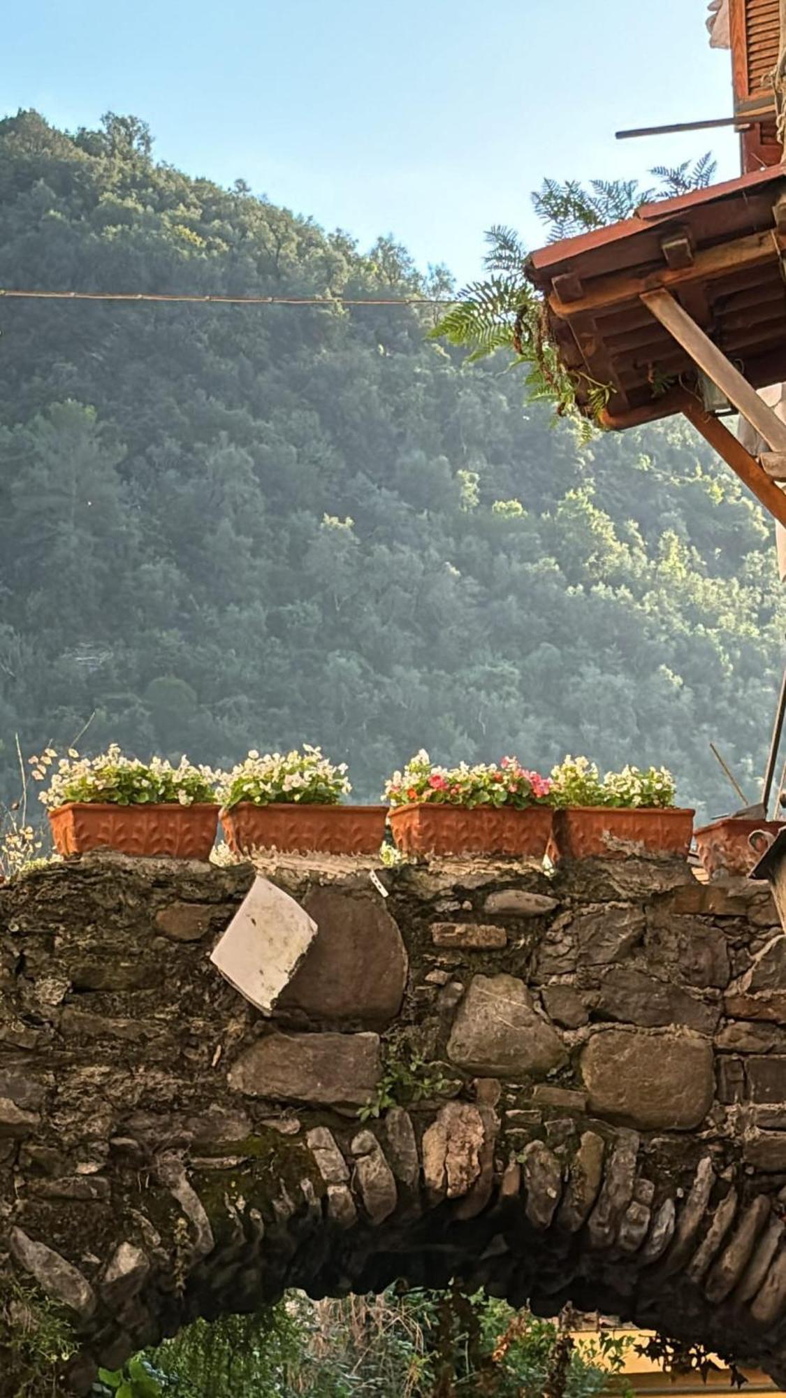 Iconic Italian Townhouse W Rooftop Terrace & Mountain View, Pigna Eksteriør bilde